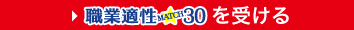 職業適性MATCH30